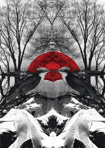 February 2008 print by Kate Gibb