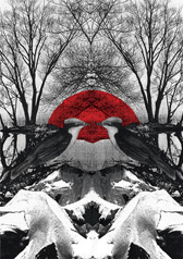 February 2008 print by Kate Gibb