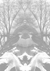 February 2008 print by Kate Gibb